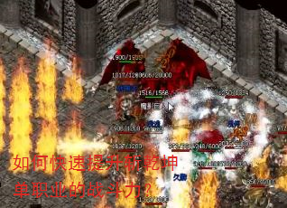 ��ο�������նǬ����ְҵ��ս������