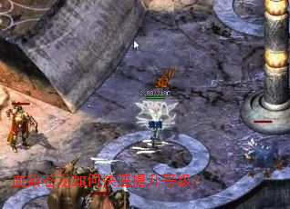 ѪȾ������ο��������ȼ���