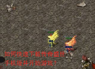 ��ο������ش���ʢ���ֻ��沢��ʼ��Ϸ��