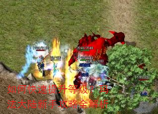 如何快速提升等级?玛法大陆新手攻略全解析 如何快速提升等级?玛法大陆新手攻略全解析