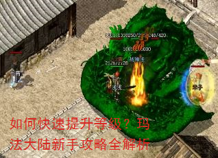 如何快速提升等级?玛法大陆新手攻略全解析 如何快速提升等级?玛法大陆新手攻略全解析