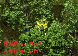 ��ο��ٽ�����װ������Ϊ����ң�