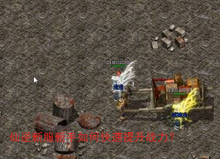 仙逆新服新手如何快速提升战力? 仙逆新服新手如何快速提升战力?