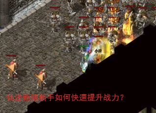 仙逆新服新手如何快速提升战力? 仙逆新服新手如何快速提升战力?