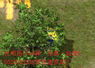 ������5166��ʥ�ޡ��׻�505200253��ο��ٻ�ȡ��