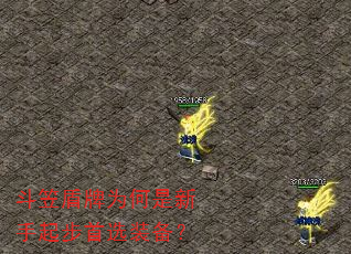 ���Ҷ���Ϊ������������ѡװ����