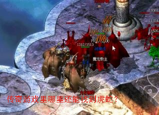 ������Ϸ�����ﻹ���ҵ����ߣ�