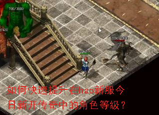 ��ο���������hao�·������¿������еĽ�ɫ�ȼ���