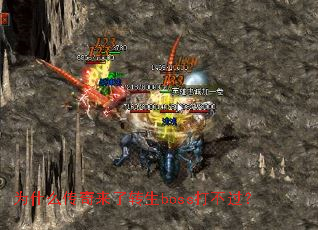 Ϊʲô��������ת��boss�򲻹���