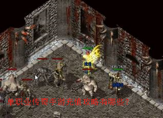 ��ְҵ�������γ�ֵ��������Щ��