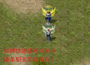 ��ο�����������Ţ����ְҵ��ս������