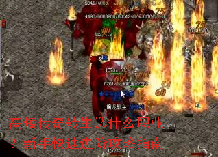 �߱�����ת��ѡʲôְҵ�����ֿ��ٽ��׹���ָ��