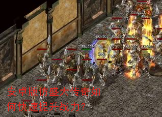 ��׿���ʢ������ο�������ս����