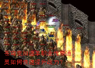 ������ٵ�ְҵ����ͨ����ο�������ս����