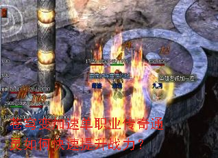 ������ٵ�ְҵ����ͨ����ο�������ս����