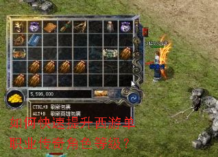 ��ο����������ε�ְҵ�����ɫ�ȼ���