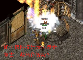 ��ο���������紫�渴�����ν�ɫ�ȼ���