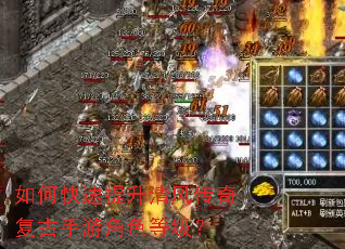 ��ο���������紫�渴�����ν�ɫ�ȼ���