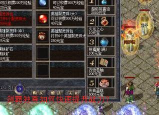 ���Զ�����ο�������ս����