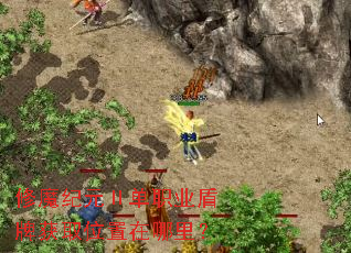 ��ħ��Ԫ��ְҵ���ƻ�ȡλ�������