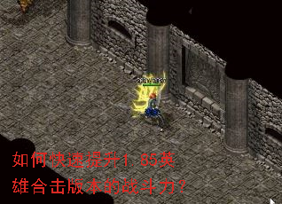 ��ο�������1.85Ӣ�ۺϻ��汾��ս������