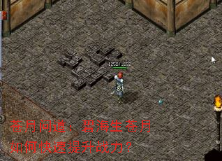 �����ʵ����̺���������ο�������ս����