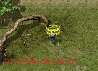 ��ο����ҵ����Ͷ��ڽ�ʡ��ң�