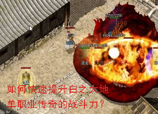 ��ο���������֮��ص�ְҵ�����ս������