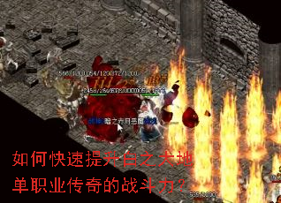 ��ο���������֮��ص�ְҵ�����ս������