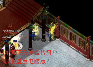 ������ر�ѩ���浥ְҵ���ص��԰棿