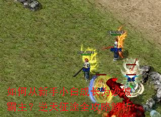 ��δ�����С�׳ɳ�Ϊɳ�ǰ�����������;ȫ���Խ���