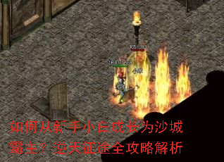 ��δ�����С�׳ɳ�Ϊɳ�ǰ�����������;ȫ���Խ���