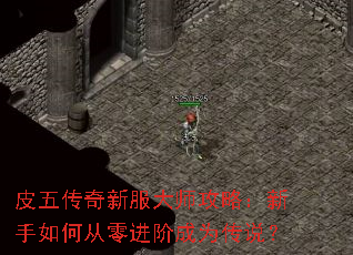 Ƥ�崫���·���ʦ���ԣ�������δ�����׳�Ϊ��˵��