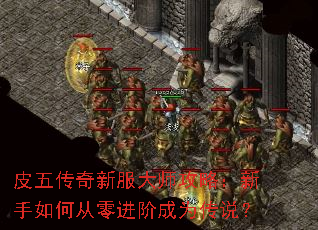 Ƥ�崫���·���ʦ���ԣ�������δ�����׳�Ϊ��˵��