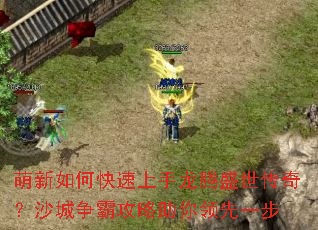 ������ο�����������ʢ�����棿ɳ�����Թ�����������һ��