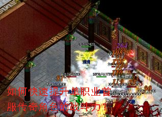 ��ο���������ְҵ�׷������ɫ��ս������