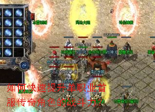 ��ο���������ְҵ�׷������ɫ��ս������