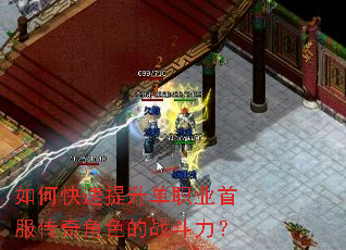 ��ο���������ְҵ�׷������ɫ��ս������