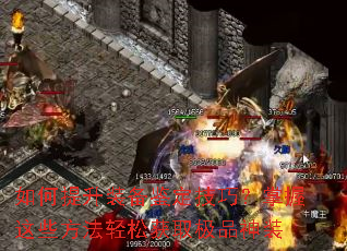 �������װ���������ɣ�������Щ�������ɻ�ȡ��Ʒ��װ