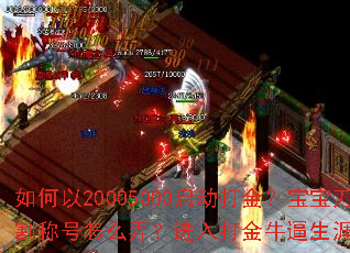 �����20005000������𣿱��������и�ƺ���ôŪ��������ţ����������Щ���ԣ�