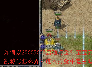 �����20005000������𣿱��������и�ƺ���ôŪ��������ţ����������Щ���ԣ�