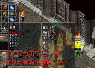 ��γ�Ϊ��˹����������Ϸ�ư�ȫ����