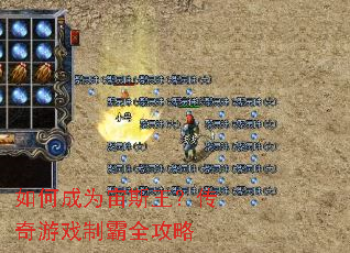 ��γ�Ϊ��˹����������Ϸ�ư�ȫ����
