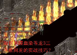 �������ѪȾ����3������ͬ����ʵս���ɣ�