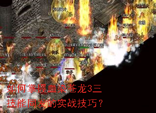 �������ѪȾ����3������ͬ����ʵս���ɣ�