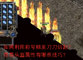 ������óƺŴ��������и�鿴ͷ����������Щ���ɣ�
