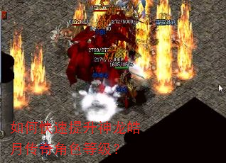如何快速提升神龙皓月传奇角色等级? 如何快速提升神龙皓月传奇角色等级?