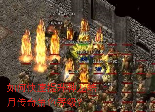 如何快速提升神龙皓月传奇角色等级? 如何快速提升神龙皓月传奇角色等级?