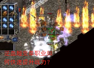 ��Ѫ���䵥ְҵ��ο�������ս����