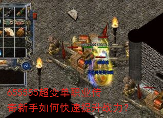 655555���䵥ְҵ����������ο�������ս����